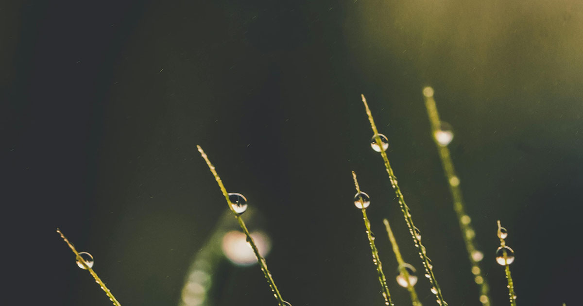 inicio 26 1200 x 630